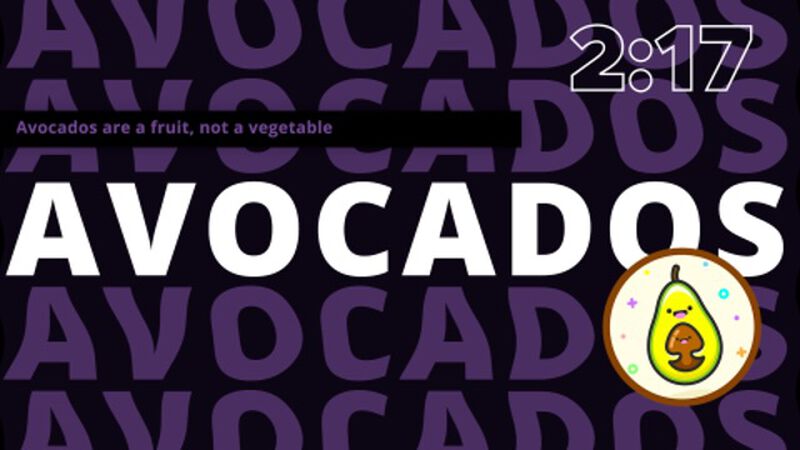 Fun Facts Modern Countdown Video